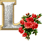 Roses 2 alphabets