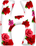 Roses 8 alphabets