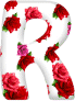 Roses 8 alphabets