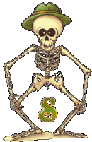 Squelette