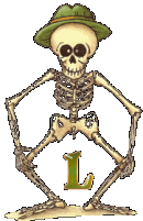 Squelette alphabets
