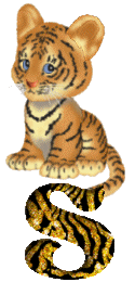 Tiger 4 alphabets