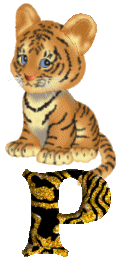 Tiger 4