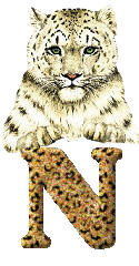 Tiger 6 alphabets