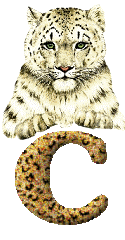 Tiger 6 alphabets