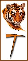 Tiger alphabet alphabets