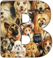 Tous les chiens alphabets