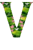 Vert rose alphabets