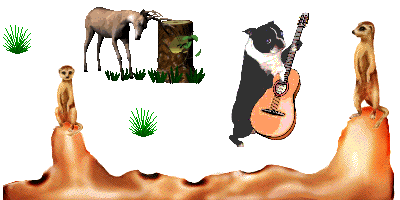 Animaux musique animaux