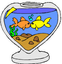 Aquarium animaux