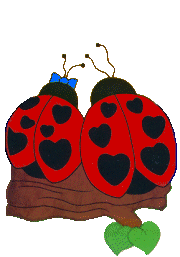 Coccinelle animaux