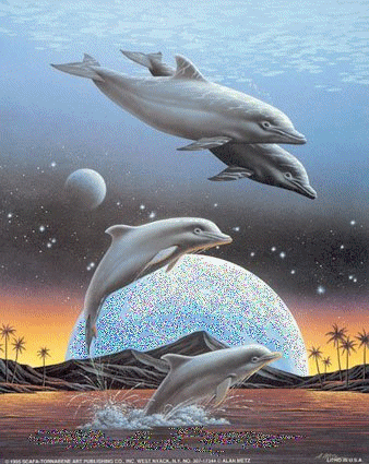 Dauphins animaux