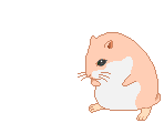 Hamsters animaux