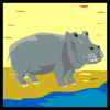 Hippopotames animaux