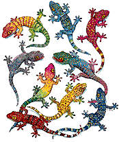 Iguane animaux