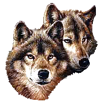 Loups animaux