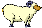 Moutons animaux