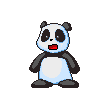 Ours panda animaux