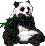 Ours panda