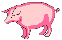 Porcs animaux