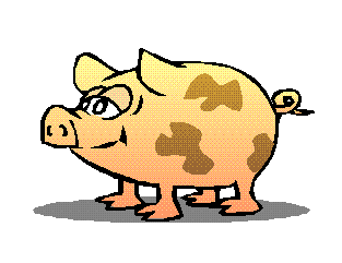 Porcs animaux