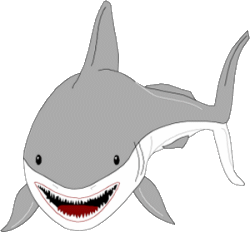Requins animaux