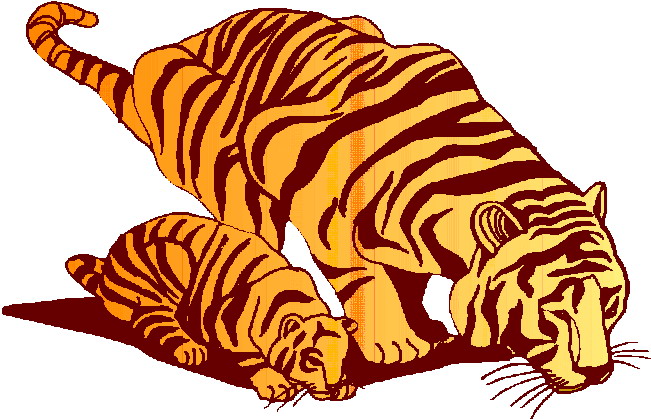 Tigre animaux