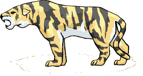 Tigre animaux
