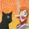 Gato yoruichi anime