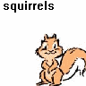 Ecureuil avatars