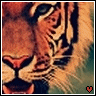 Tigre avatars