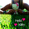 Bonjour kitty avatars