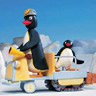 Pingu avatars