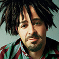 Counting crows