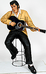 Elvis cartoons celebrites