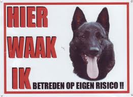 Berger hollandais chiens gifs