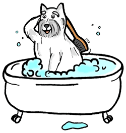 Chiens bain chiens gifs