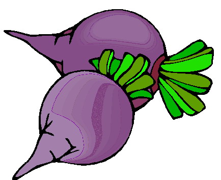 Betteraves clipart