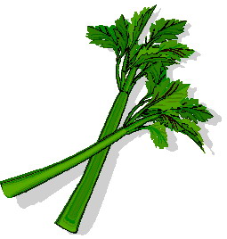 Celeri