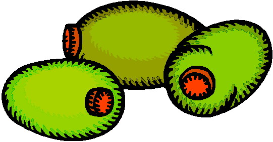 Olives clipart