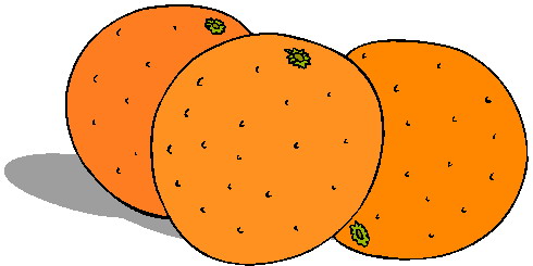 Oranges clipart