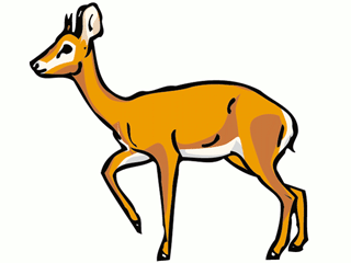 Antilope clipart