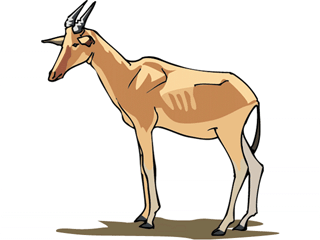 Antilope clipart