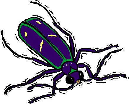 Coleopteres clipart