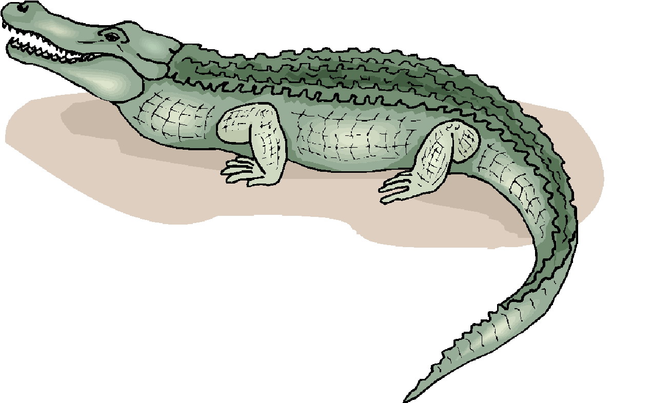 Crocodiles clipart