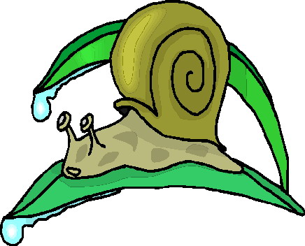 Escargots clipart