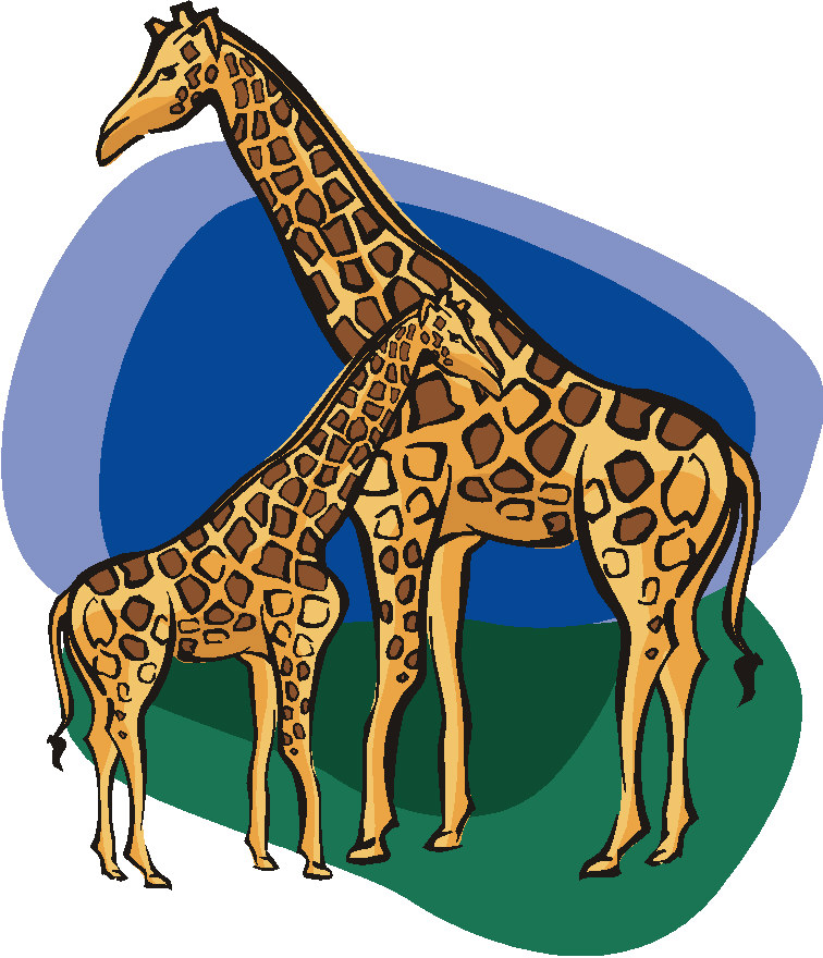 Girafes clipart