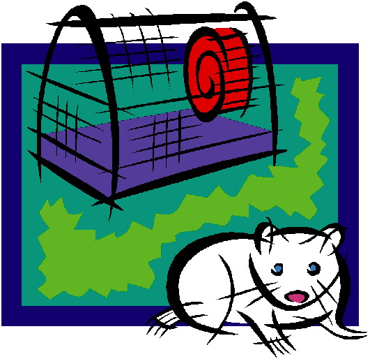 Hamsters clipart