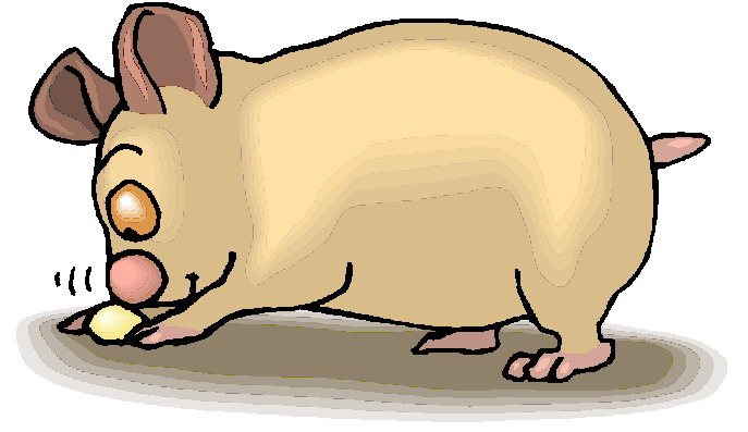 Hamsters clipart