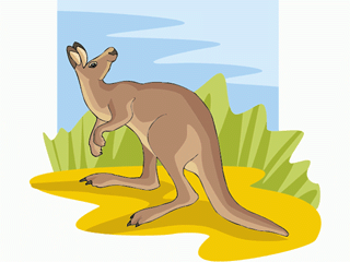 Kangourous clipart